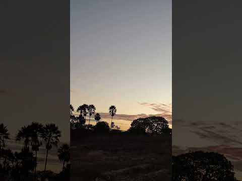 #viva #ceará #mil #nature #viral#online#aracoiaba #ce #8585#shortsvideos #shorts #maciços #0800 #top