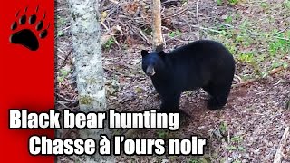 preview picture of video 'Chasse à l'ours noir printemps 2014 / Black bear hunting - Spring 2014'