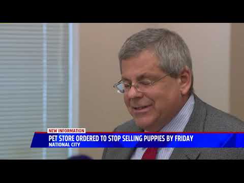 Pet Store Ordered To Stop Selling Puppies By Friday
