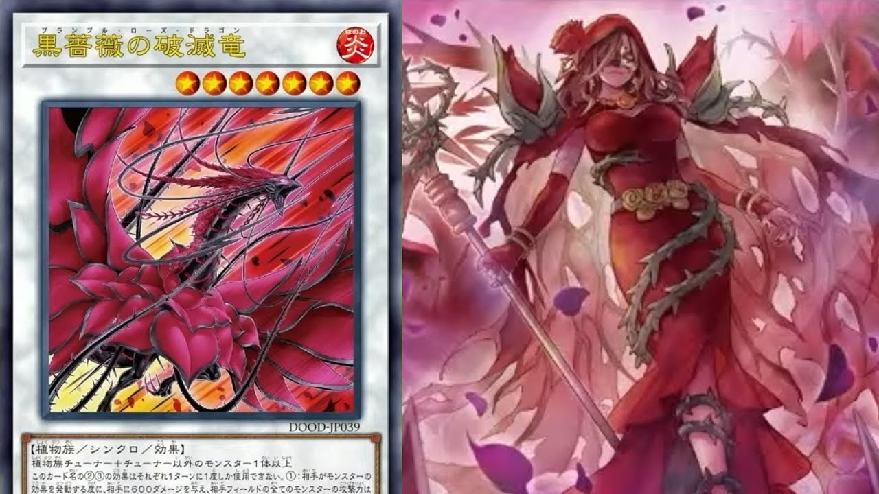 FINALLY A PLANT… Rose Dragon