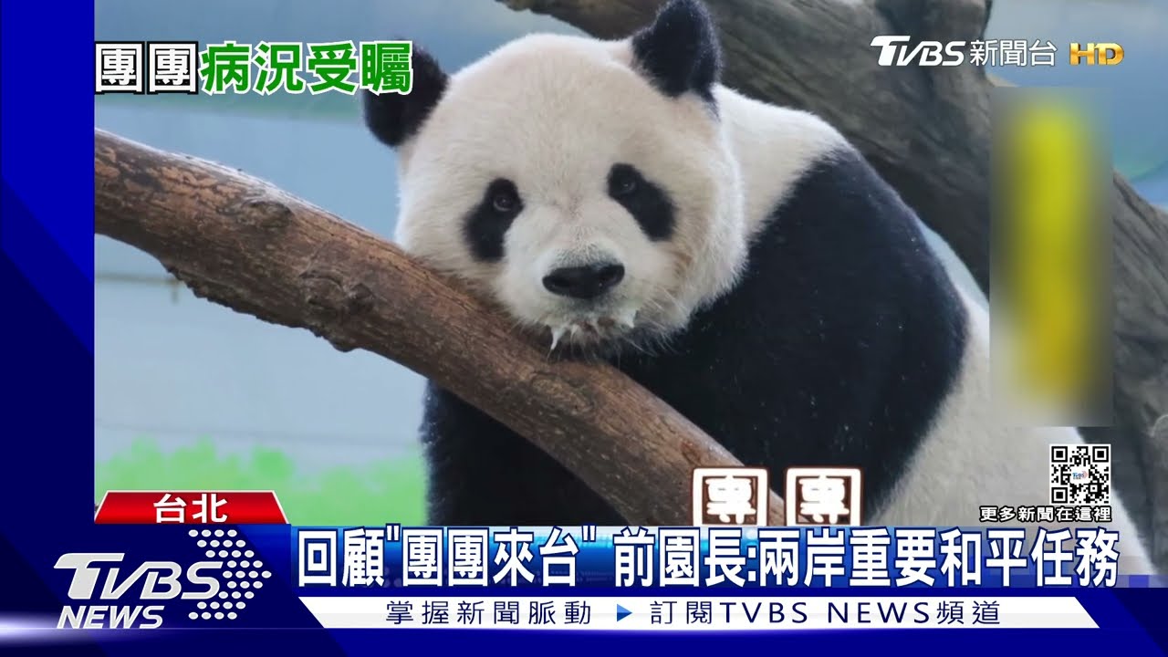大陸專家將來台探團團 於法卻不能「救治」
