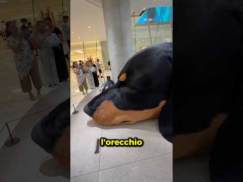 Questo centro commerciale non verrà MAI derubato!🤯
