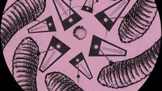 PREMIERE: DMX Krew - The Wiggly Worm (SRTX018)