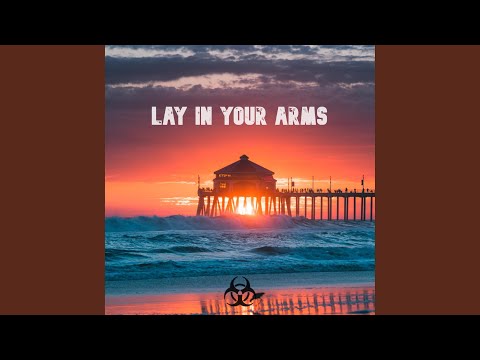 Lay in Your Arms (feat. Ddark)