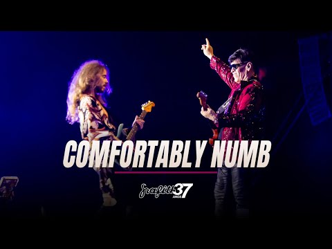 Grafith 37 Anos - Comfortably Numb  (Pink Floyd)