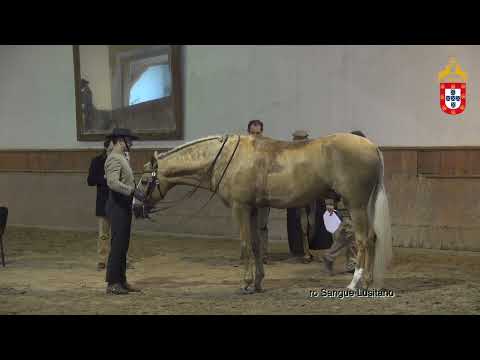 230128 32 Nihara - Aprovação de Garanhões