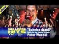 Malle ist nur einmal im Jahr, Scheiss drauf, Peter ...