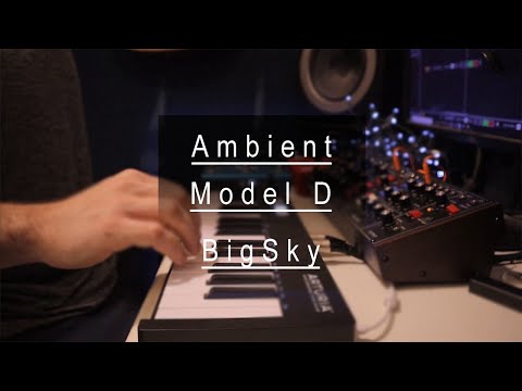 Sound Quest #3 | Ambient Live Performance - Behringer Model D, Maschine MK3, BigSky