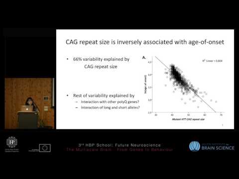 Keo Arlin - Functional analysis of polyQ genes by examining spatial co-expression (...)