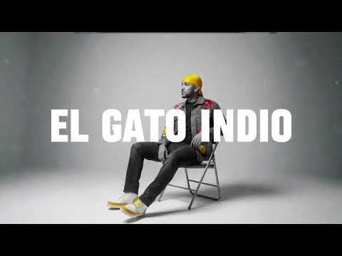 Cuando Una Mujer - El Gato Indio (Lyric video)