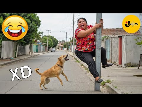 SI TE RÍES PIERDES NIVEL DIOS #126 🤣 VIDEOS DE RISA MUY GRACIOSOS 2025 🤣