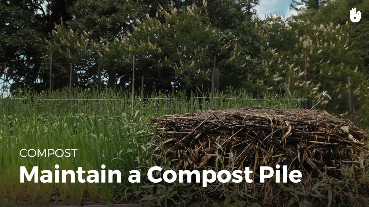 How To Maintain A Compost Pile Making Compost Sikana