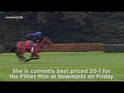 Fillies Mile: Efaadah working