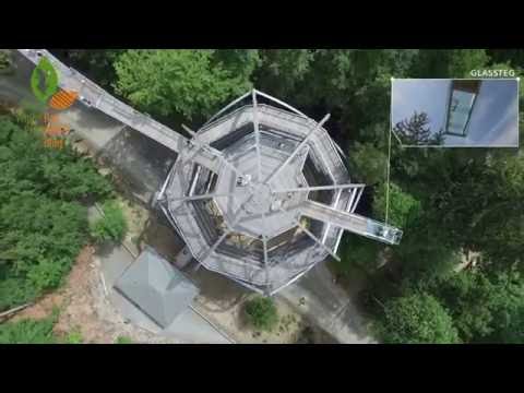 Baumwipfelpfad Harz - Auf geht's! Rauf geht's!