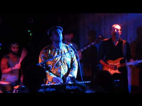 Dele Sosimi Afrobeat Orchestra at the Eco Park