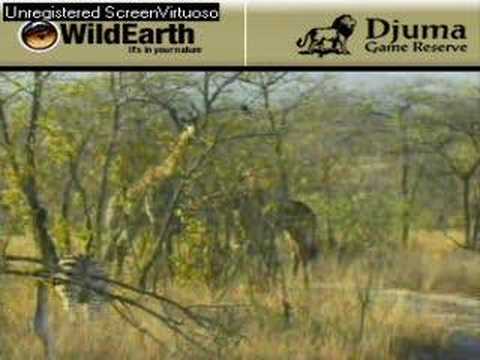 Sunrise drive 081007-3