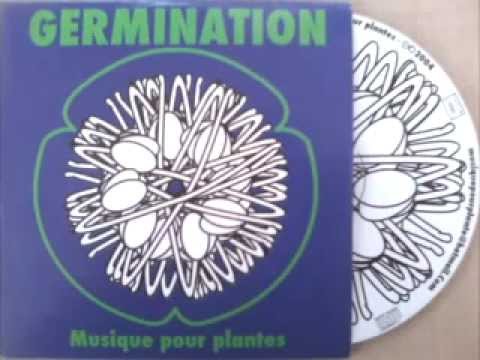 Pyroman - Sève (Germination 2004)