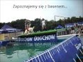 DCDC Poznań 2015 dog diving - Shaggy 