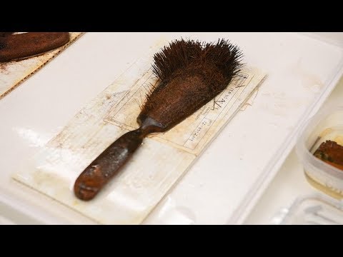 Franklin wreck reveals sailors' lives