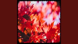 Autumn Feels and Origami @ 91.7 HBPM Music Video