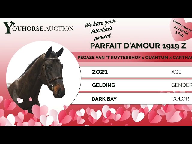 Parfait D'Amour 1919 Z homevideo