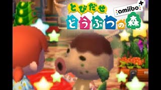【とび森】今度はタコヤが遊びにきたよ♪【実況part56】