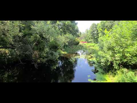 Смотрите видео