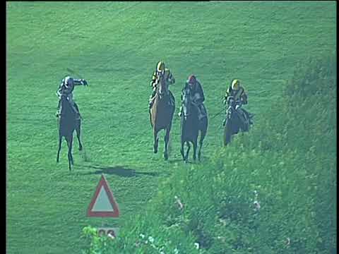 Galoppo 30/08/2017 - 5ª corsa