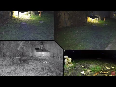 Wight Wildlife Feeder Cam live webcam