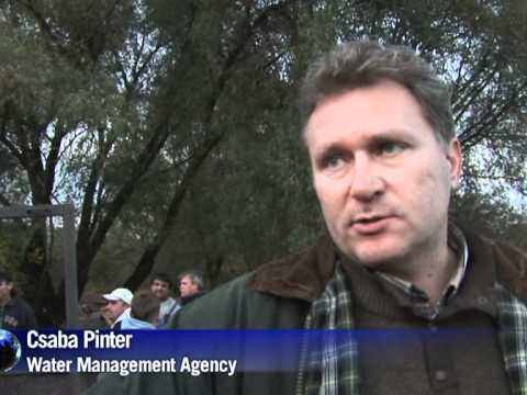 Hungary toxic sludge spill reaches Danube