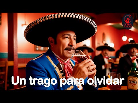 Descubre por qué pido Un trago para olvidar | Ranchera Mexicana de Cantina y olvido
