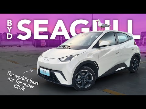 The Affordable EV We've All Been Waiting For - BYD Seagull / Dolphin Mini