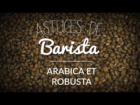 download lagu mp3 mp4 Diffrence Entre Arabica Et Robusta, download lagu Diffrence Entre Arabica Et Robusta gratis, unduh video klip Diffrence Entre Arabica Et Robusta