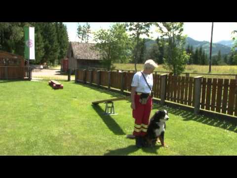 Flächentraining der ÖRHB in Mitterberg/Gröbming