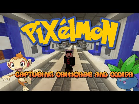 MINECRAFT PIXELMON MOD GETTING ALL THE GYM BADGES #1 I HAVE CAPTURED A CHIMCHAR AND ODDISH