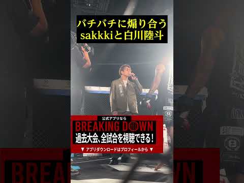 バチバチに煽り合うsakkkiと白川陸斗