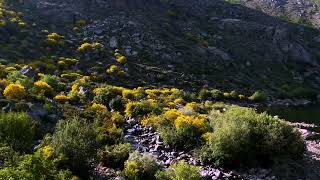 Senda de la Laguna del Duque (Parque Regional Sierra de Gredos- PR-AV 41- Ávila)