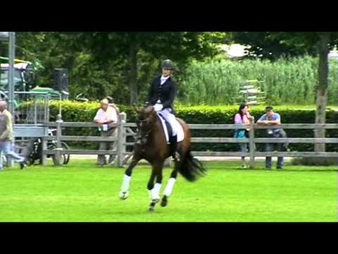 Stanford - NRW Sportpferdetag Aachen 2012