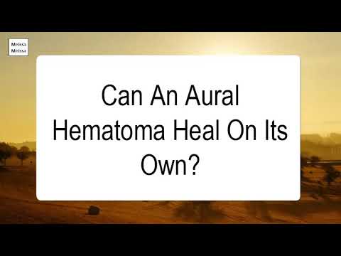 Can An Aural Hematoma Heal On Its Own