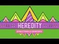 Documentary Science - Crash Course - Biology - Heredity