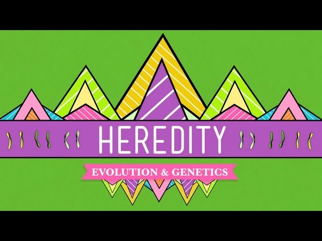 Video Pronunciation of heredity in English