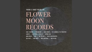 Real Life (Trump Era)