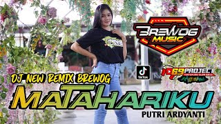 Download lagu DJ BASS HOREG KLUGET KLUGET || MATAHARIKU 69 PROJECT Feat Brewog Music mp3