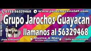 Tilingo lingo - Jarochos Guayacan 56329468 Mexico DF / CDMX