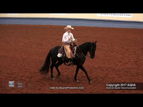 2017 AQHYA World RR Just Plain Peppernic Katie Mason