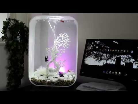 Watch Video on YouTube