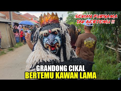 GRANDONG CIKAL BERTEMU KAWAN LAMA ❗️❗️KUDA LUMPING MSP 💥 LEMBUR KURING