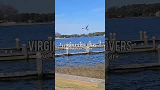 Virginia is for Lovers at Portsmouth City Park #virginia #virginiaisforlovers