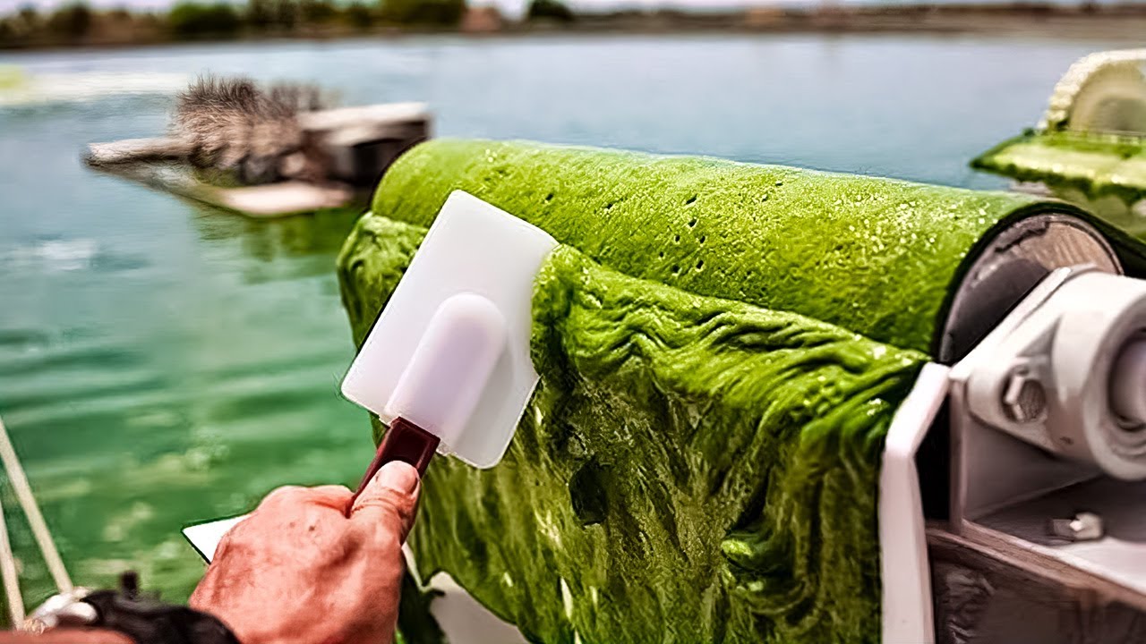 VÍDEOS SATISFATÓRIOS DE TRABALHADORES DOS QUAIS É DIFÍCIL DESGRUDAR OS OLHOS