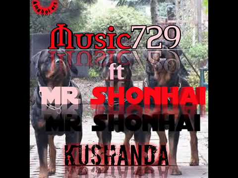 Music 729 ft Mr shonhai_(kushanda)